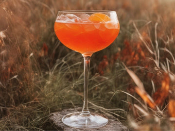 Herbst Cocktail mit Aperol Spritz